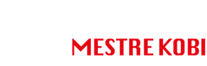 Krav Maga Mestre Kobi
